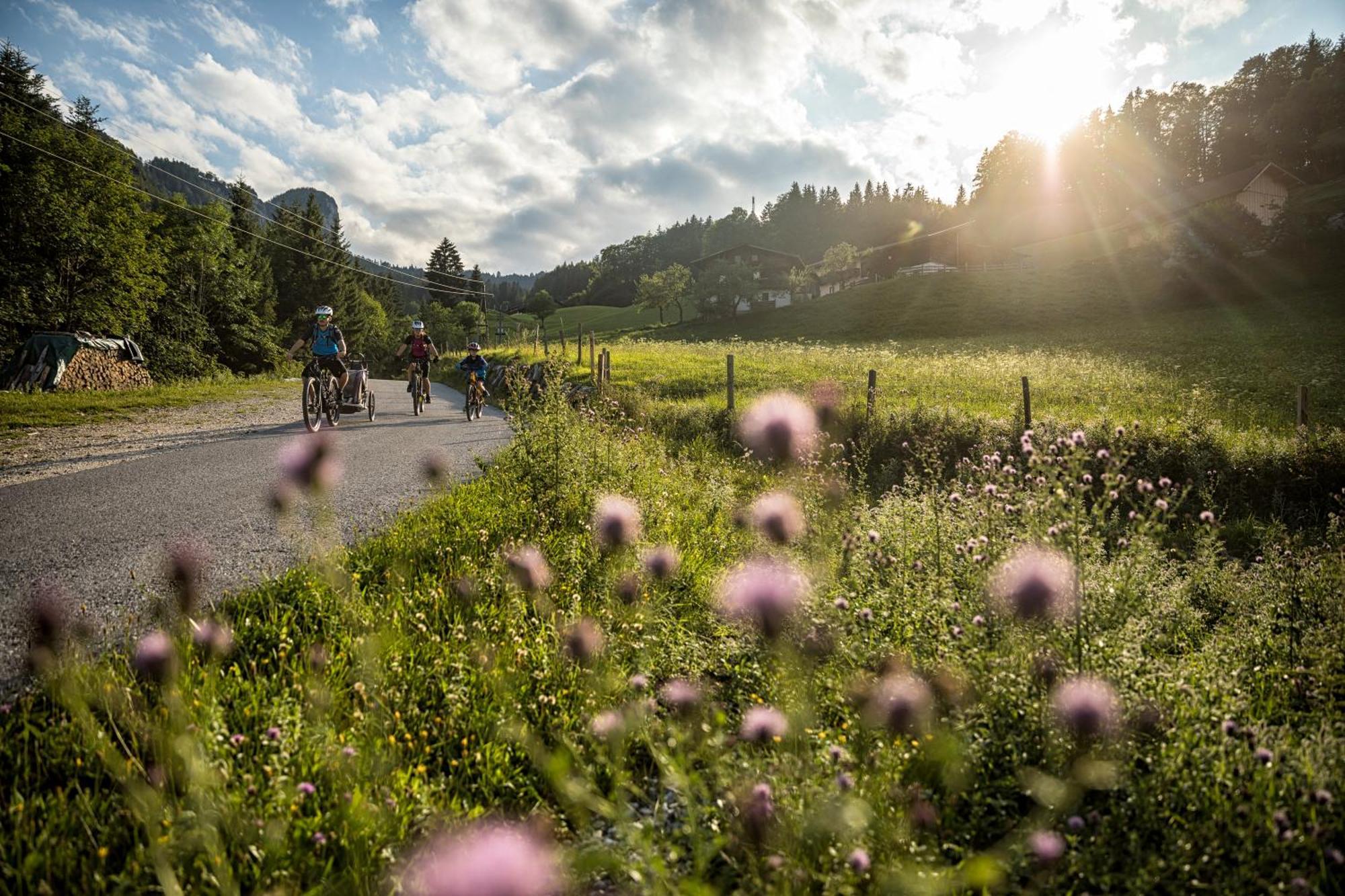 Dorfcafe Unken Hotelpension Swirtshaus Im Dorf ภายนอก รูปภาพ