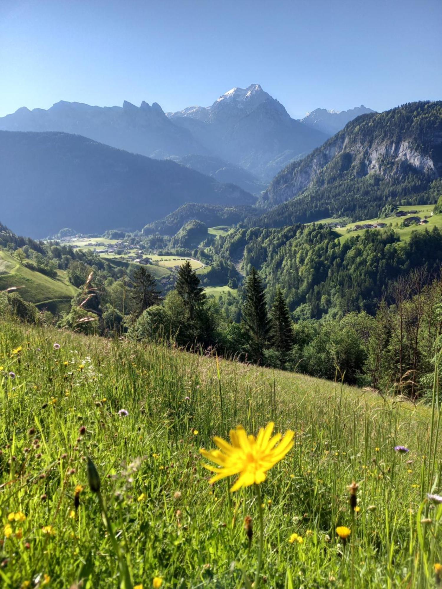 Dorfcafe Unken Hotelpension Swirtshaus Im Dorf ภายนอก รูปภาพ