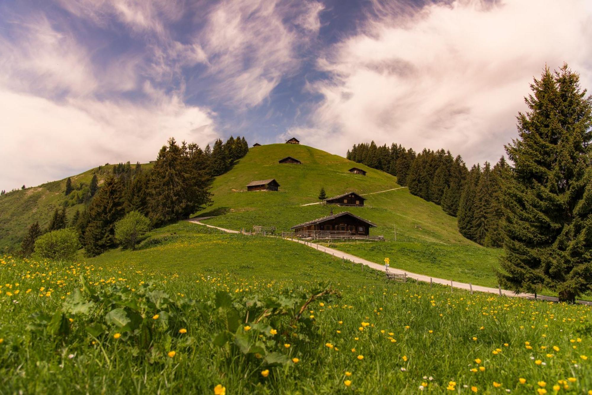Dorfcafe Unken Hotelpension Swirtshaus Im Dorf ภายนอก รูปภาพ